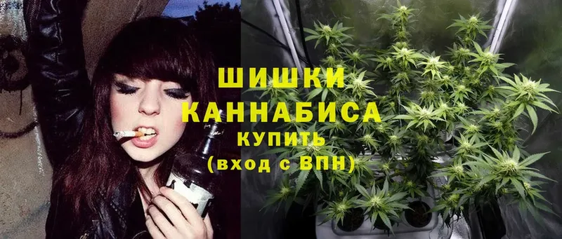 Бошки Шишки OG Kush  МЕГА маркетплейс  Правдинск 